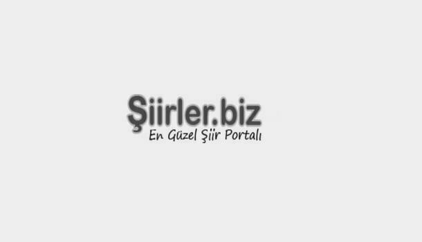 Şiirler ve biz