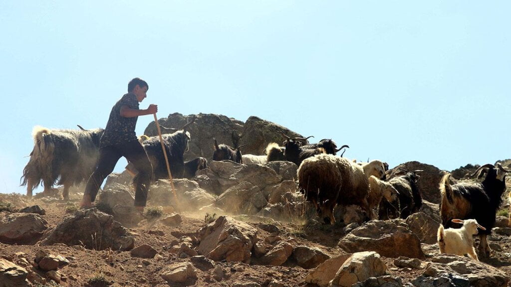 muhammet-halil-yazar-