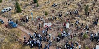 Öğrenciler binlerce Cumhuriyet fidanını toprakla buluşturdu