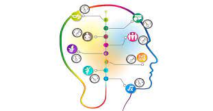 Deneyimleri Her defasında Değiştirerek ve Yenileyerek “Öğrenme”