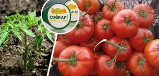 Türkiye'nin AB Coğrafi İşaretli Ürün Sayısı 15'e Yükseldi