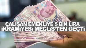 Çalışan emeklilere 5 bin lira ikramiye verilmesi Meclis'te kabul edildi