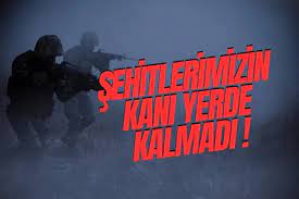 Şehitlerimizin kanı yerde kalmadı