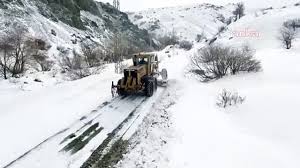 Doğu Anadolu Bölgesinde Kar Yağışı Nedeniyle 196 Yerleşim Alanının Yolları Kapandı