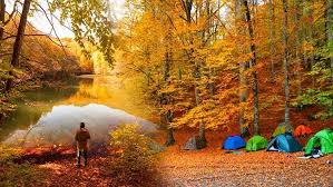 Gebze’de Saklı bir Cennet