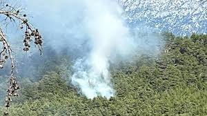 Antalya'da orman yangını Müdahale sürüyor