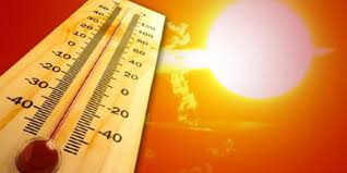 Aşırı sıcaklar beyin ve damar hastalıkları riskini artırıyor