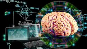 İnsan beyninden yaşayan bilgisayar üretildi