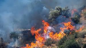 Ülke genelinde çıkan orman yangınlarına müdahale sürüyor