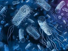 Süper bakteriler 2050 yılına kadar 39 milyon insanı öldürebilir