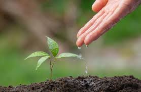 UMUT-GÜVEN-ÖNGÖRÜ