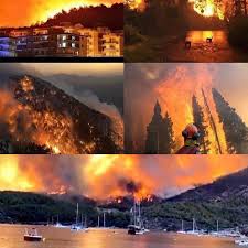 YANGININ DÜŞÜNDÜRDÜKLERİ